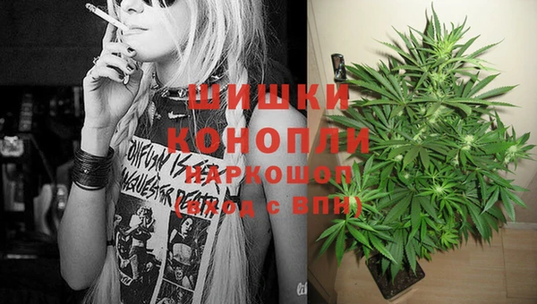 эйфоретик Белокуриха